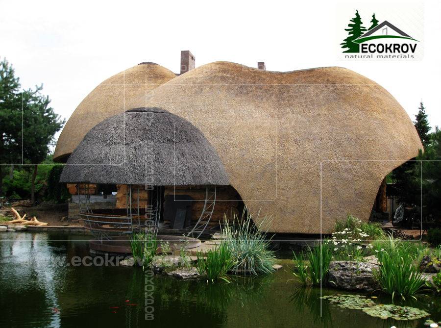 Камыш для устройства кровли