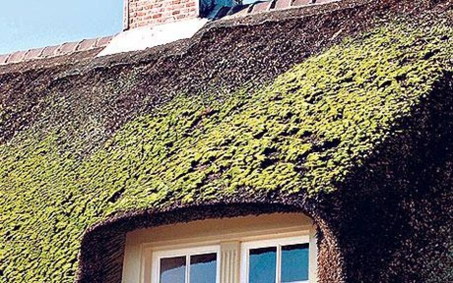 Очистка кровли от мха