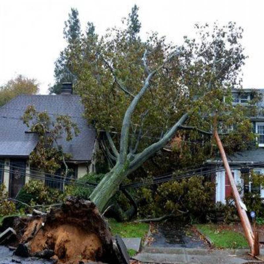 Ремонт кровли