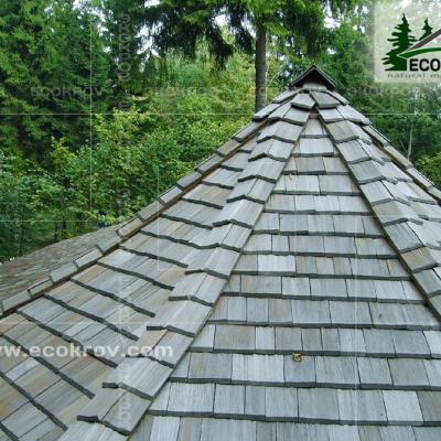 Holzschindeln Nikolino 2004 5