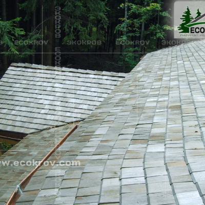 Holzschindeln Nikolino 2004 6