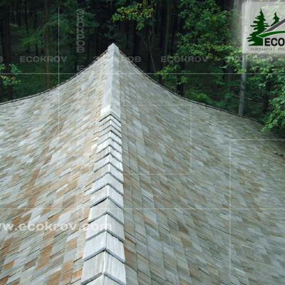 Holzschindeln Nikolino 2004 7