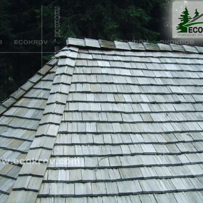 Holzschindeln Nikolino 2004 8