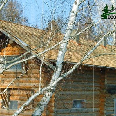 Schindeln Tularegion 07