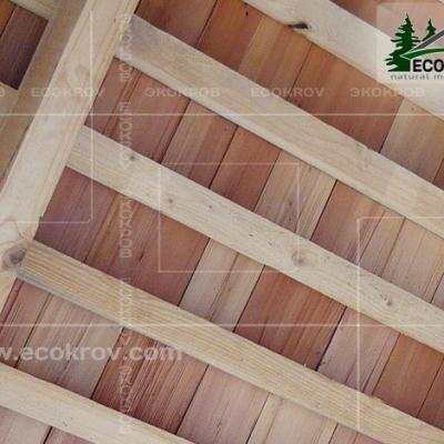 Schindeln Tularegion 09