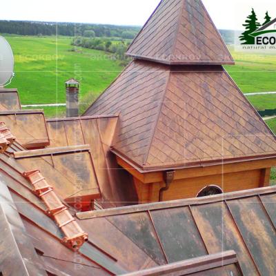 Медная кровля. Петрово-Дальнее. 2009 год