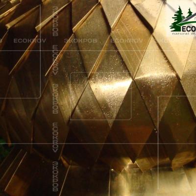 Cuppro Vnukovo 2010 2