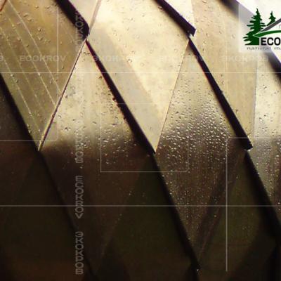 Cuppro Vnukovo 2010 6