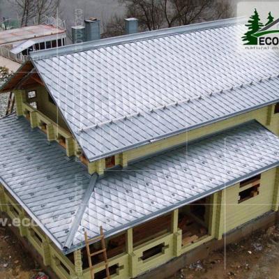 Zinc Titan Myachkovo Dom3 01