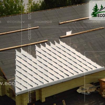 Zinc Titan Myachkovo Dom3 02