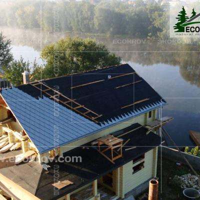 Zinc Titan Myachkovo Dom3 03