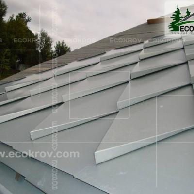 Zinc Titan Myachkovo Dom3 04