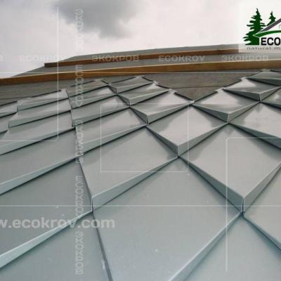 Zinc Titan Myachkovo Dom3 05