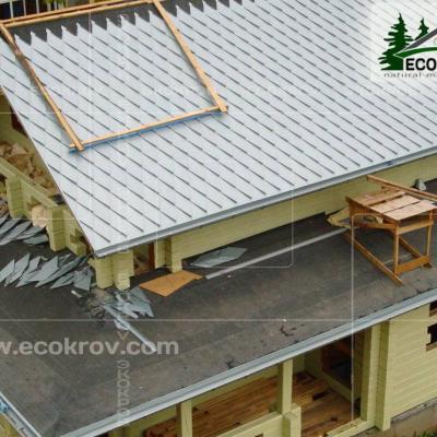 Zinc Titan Myachkovo Dom3 06