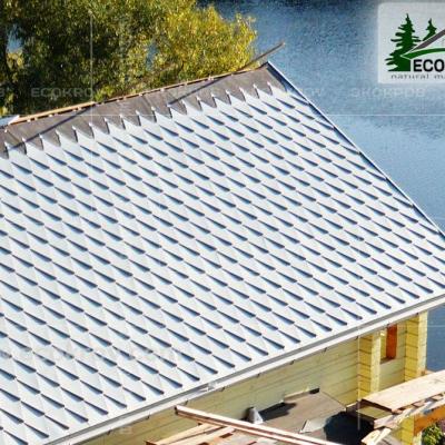 Zinc Titan Myachkovo Dom3 07