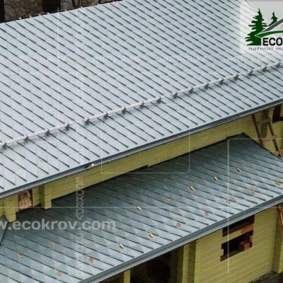 Zinc Titan Myachkovo Dom3 08