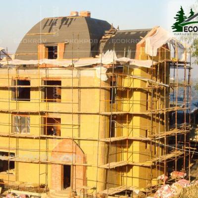 Zinc Titan Myachkovo Dom 03