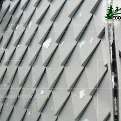 Zinc Titan Myachkovo Dom 07