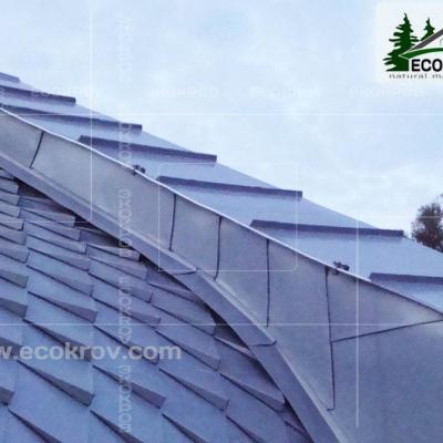 Zinc Titan Myachkovo Dom 08