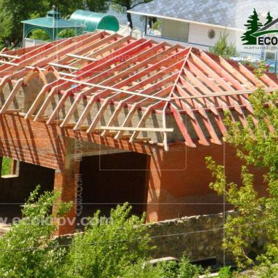 Zinc Titan Myachkovo Dom2 02