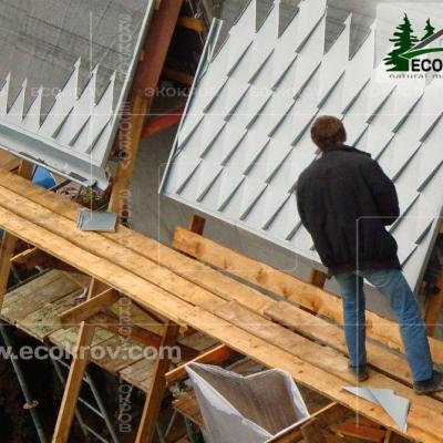 Zinc Titan Myachkovo Dom2 05