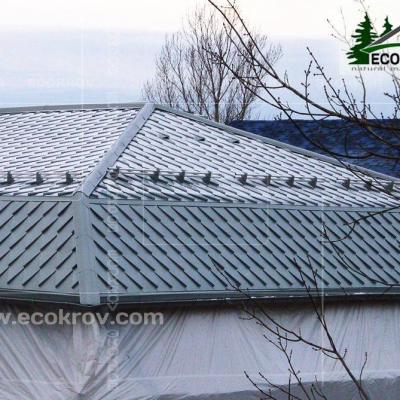 Zinc Titan Myachkovo Dom2 07