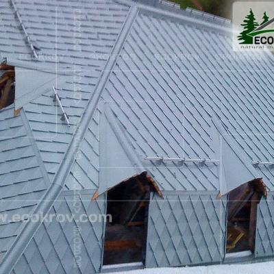 Zinc Titan Myachkovo Dom2 08