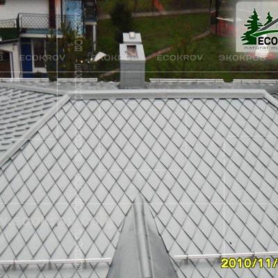 Zinc Titan Myachkovo Dom2 09