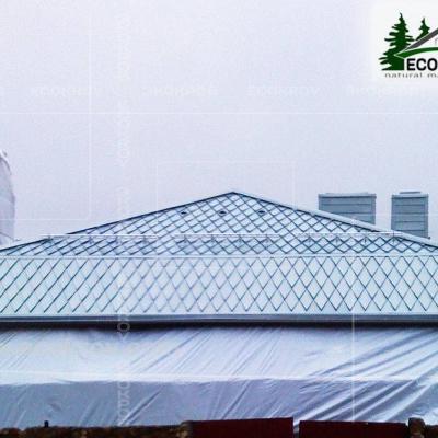 Zinc Titan Myachkovo Dom2 10