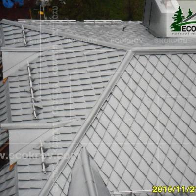 Zinc Titan Myachkovo Dom2 11