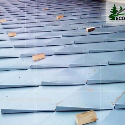 Zinc Titan Myachkovo Dom2 12