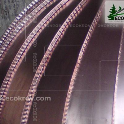 Cupro Gribanovo Kupol 03