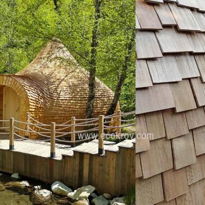 Смоленская область. г. Гагарин 2024 год  