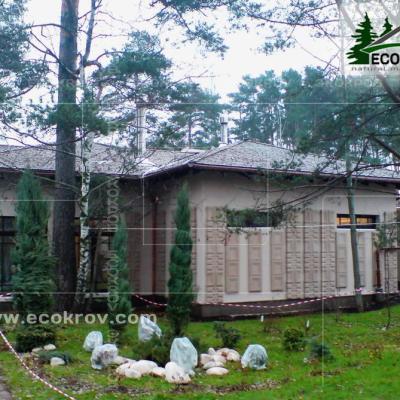 Holzschindeln Zarechye 2007 2