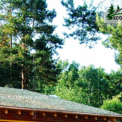 Holzschindeln Zarechye 2007 3