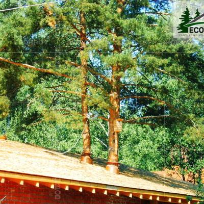 Holzschindeln Zarechye 2007 5