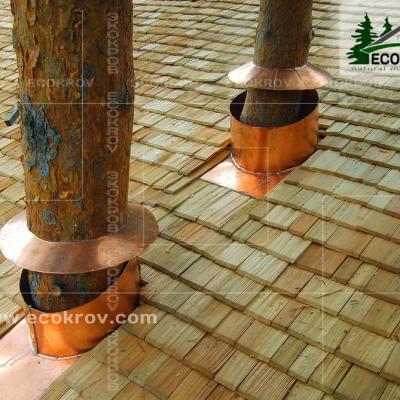 Holzschindeln Zarechye 2007 6