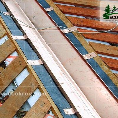 Holzschindeln Zarechye 2007 7