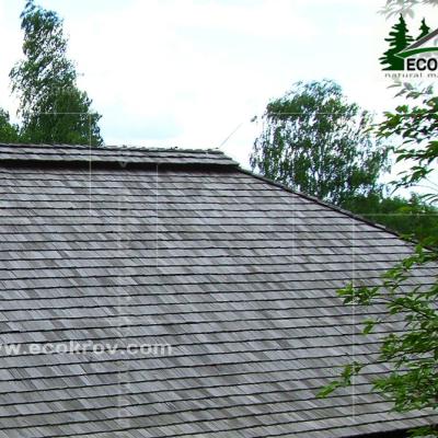 Holzschindeln Znamenskoe 2007 2