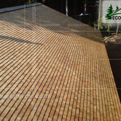 Schindeln Pirogovo 02