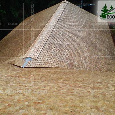 Schindeln Pirogovo 04