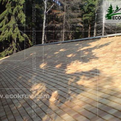 Schindeln Pirogovo 06