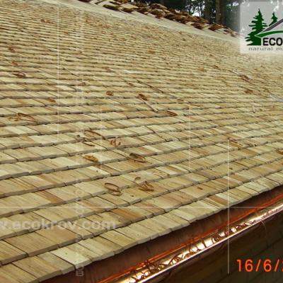 Schindeln Pirogovo 07