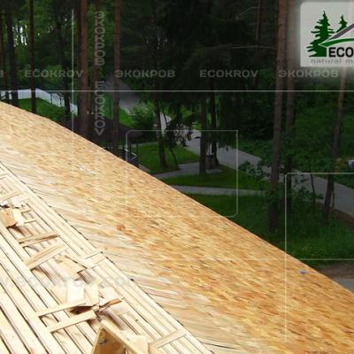 Schindeln Pirogovo 08