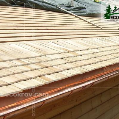 Schindeln Pirogovo 09