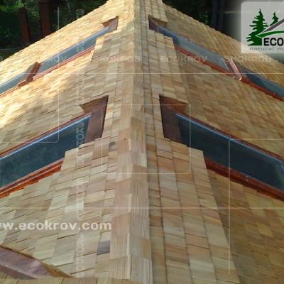 Holzschindeln Pinaty 2010 15