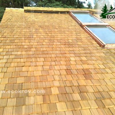 Holzschindeln Pinaty 2010 19