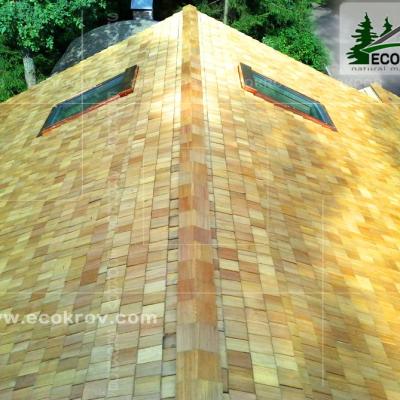 Holzschindeln Pinaty 2010 21