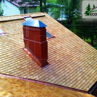 Holzschindeln Pinaty 2010 22