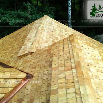 Holzschindeln Pinaty 2010 25